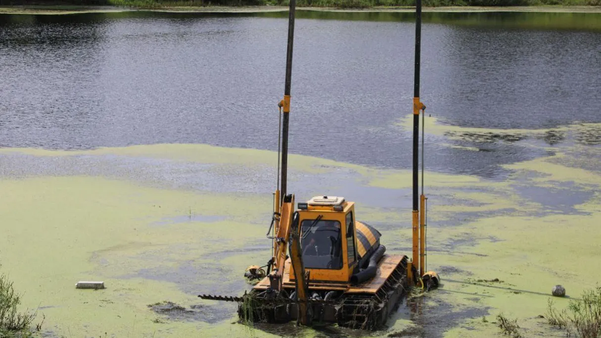 Фото: пресс-служба администрации Наро-Фоминского г.о.