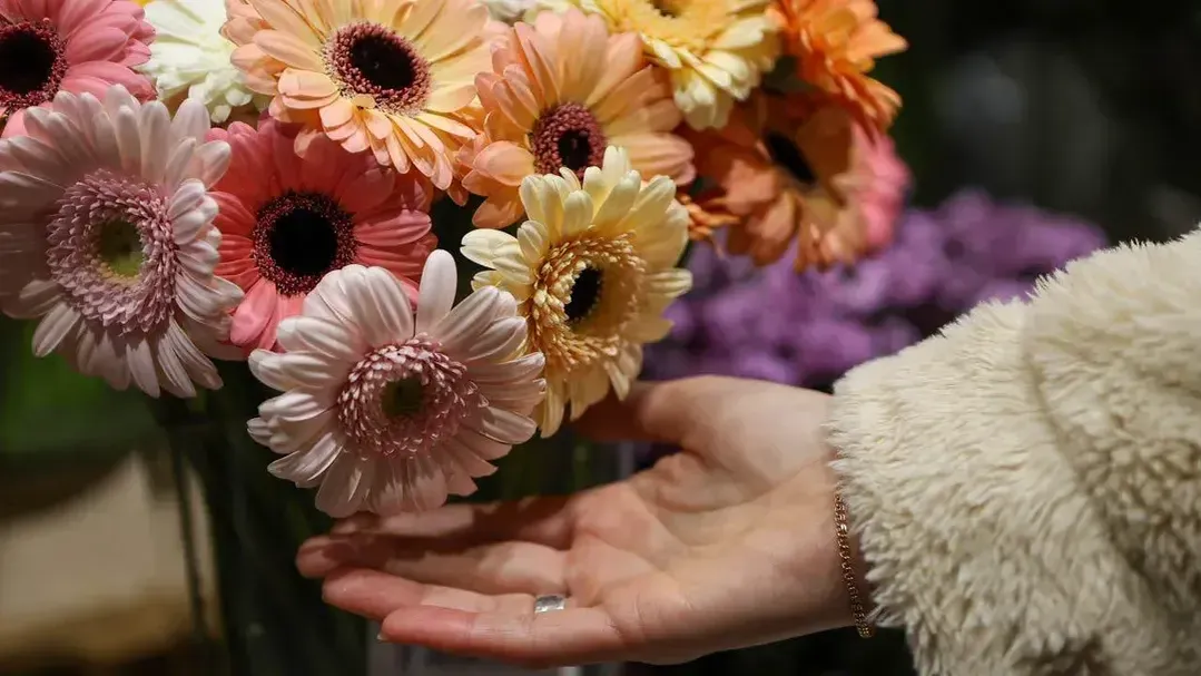 REGIONS/Роман Малышенко