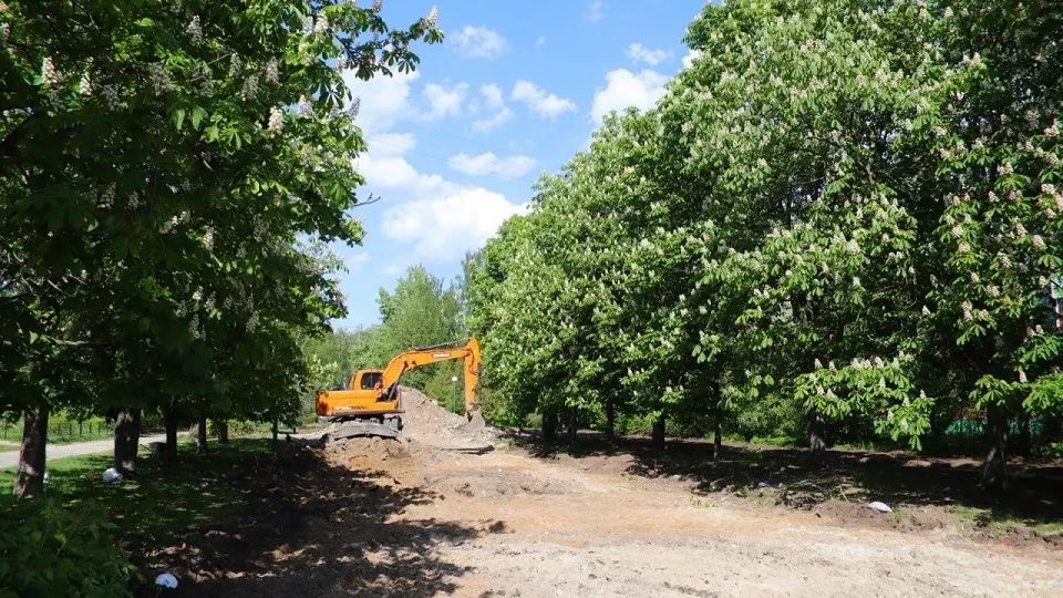 Фото: Администрация городского округа Воскресенск