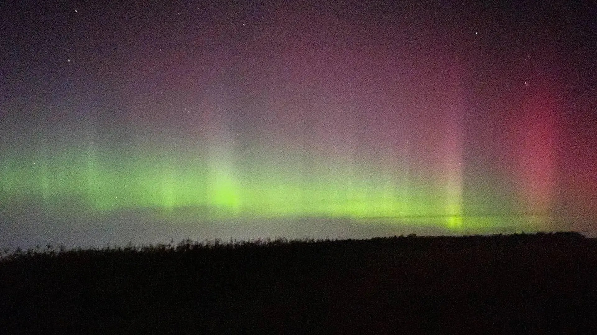 Дарья Леонова