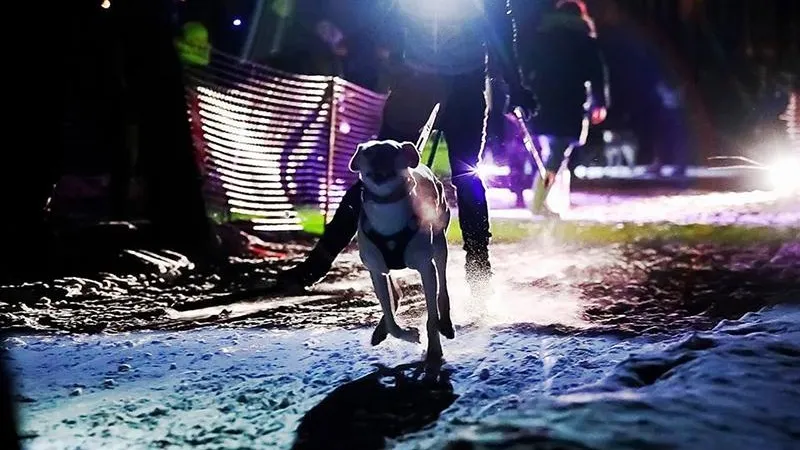 rayven-dog.ru