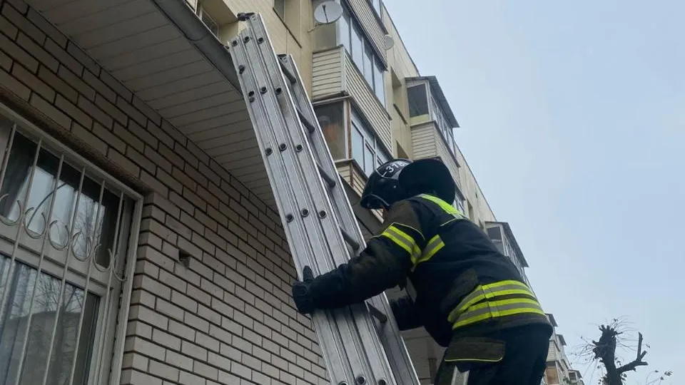 Пресс-служба ГКУ МО «Мособлпожспас»