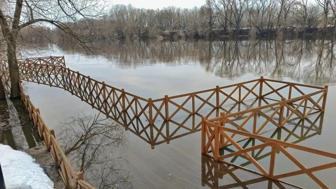 Ксения Пилатова