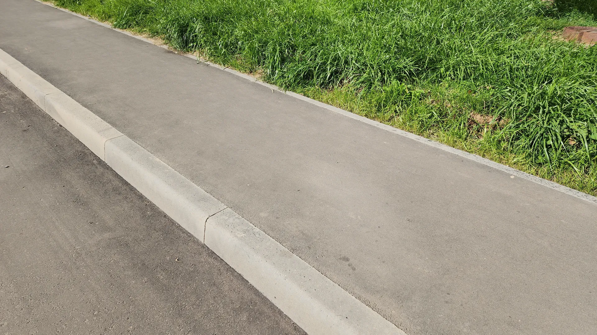 Фото: МедиаБанк Подмосковья/Евгения Герасимова