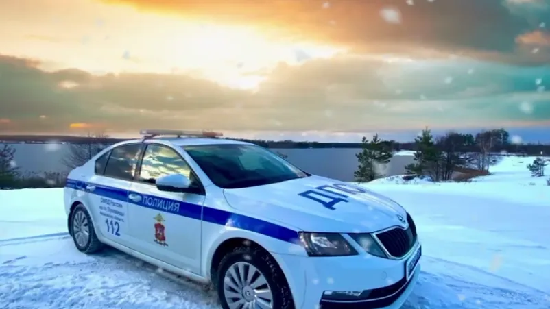 Фото: Госавтоинспекция Московской области