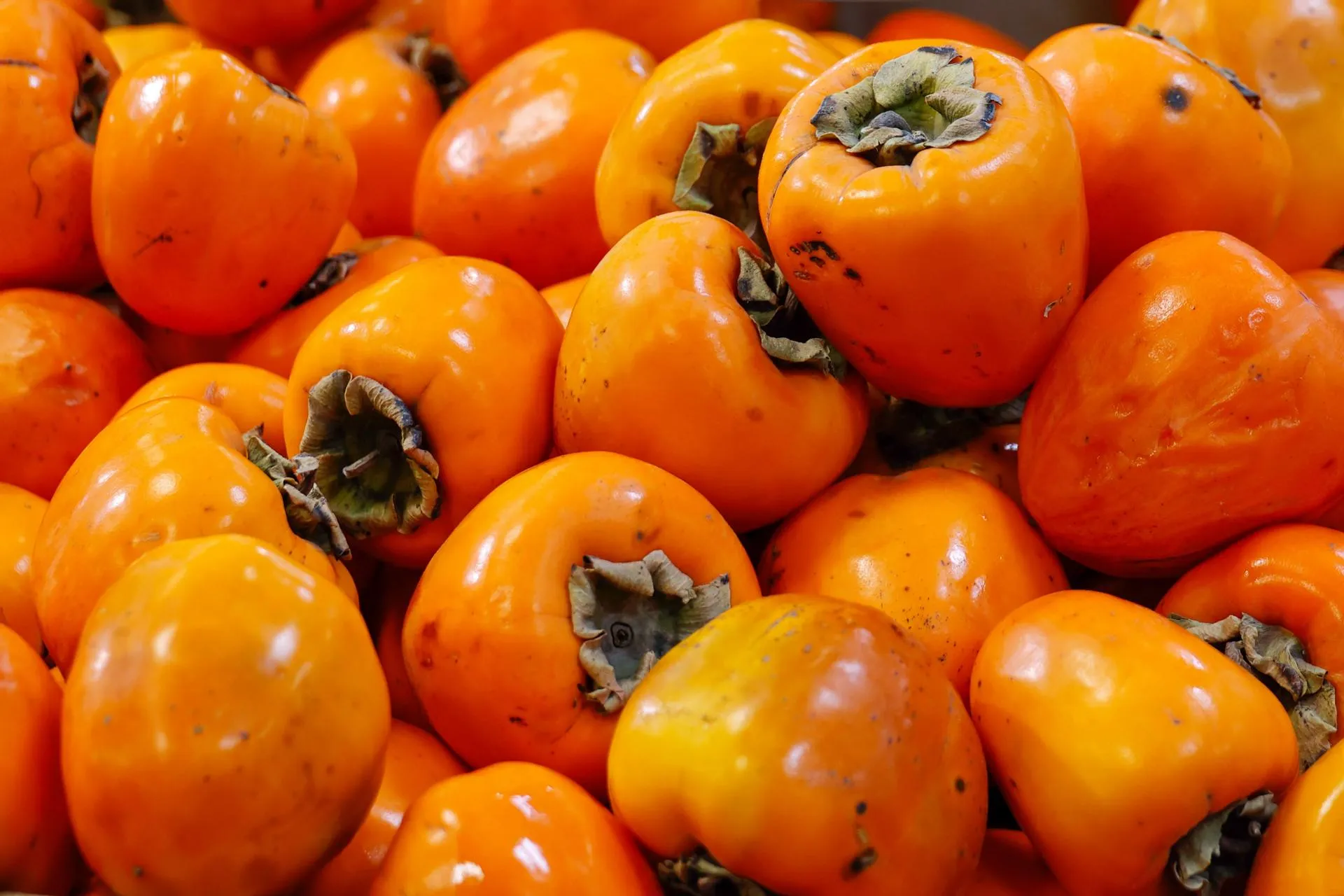 Ekaterina Sychkova/URA.RU