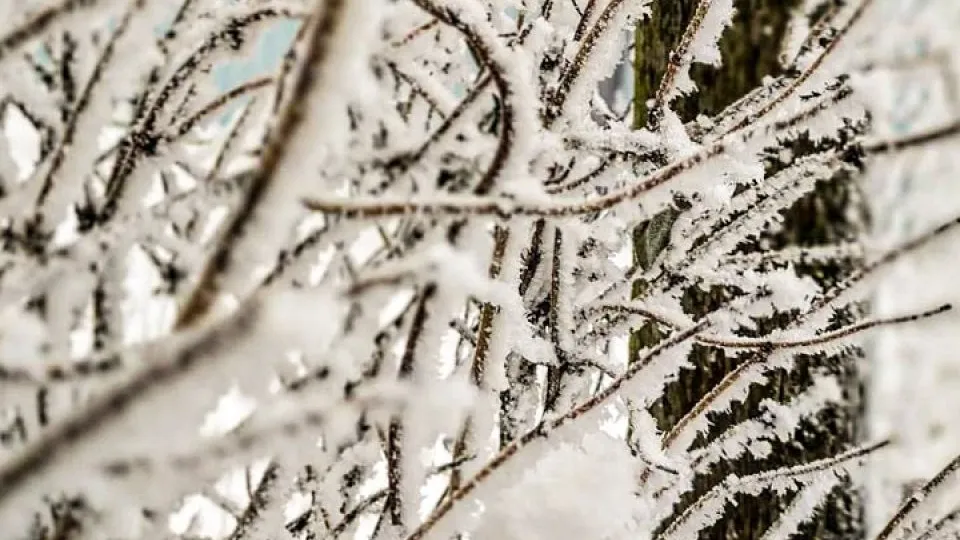 Фото: REGIONS/Роман Малышенко