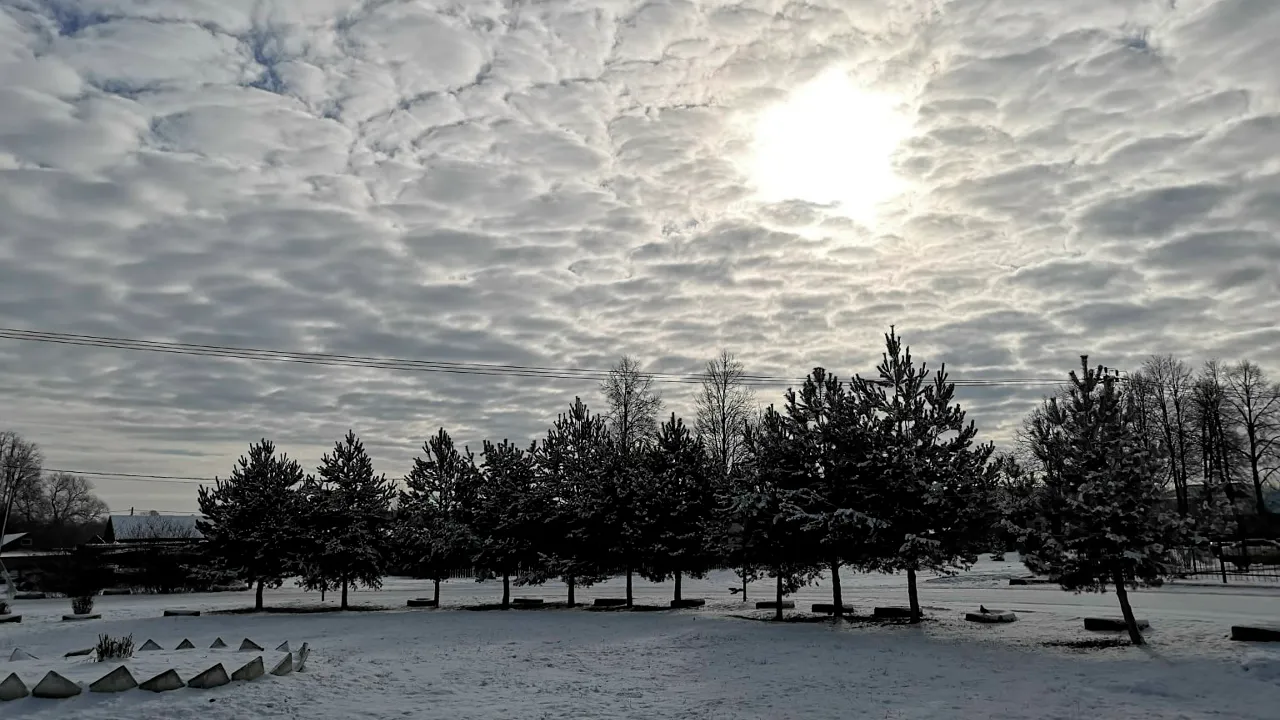 REGIONS/Евгений Мазепов