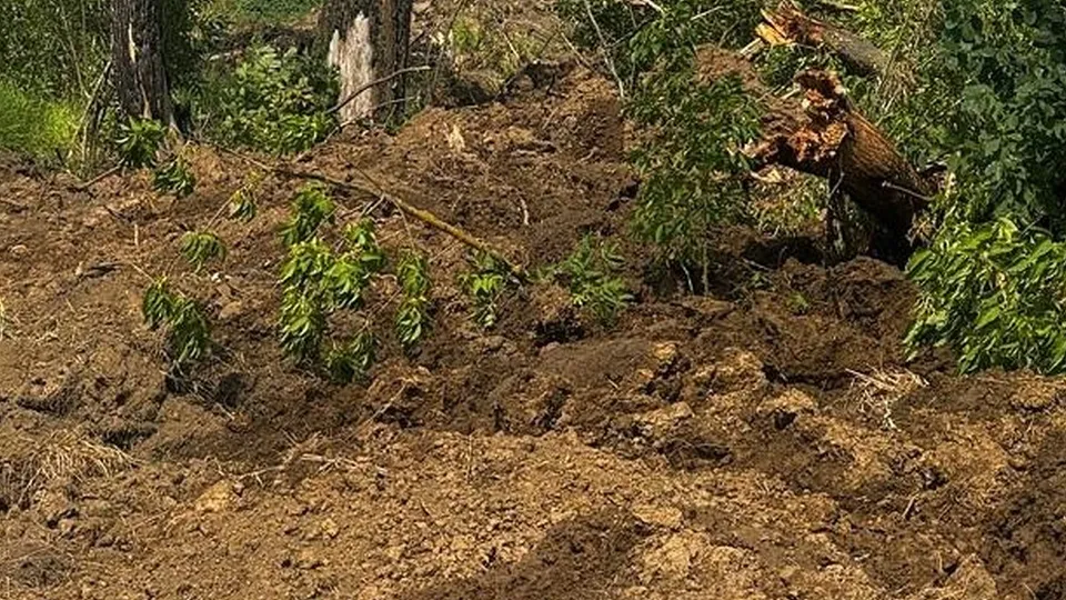 Фото: Министерство экологии и природопользования МО