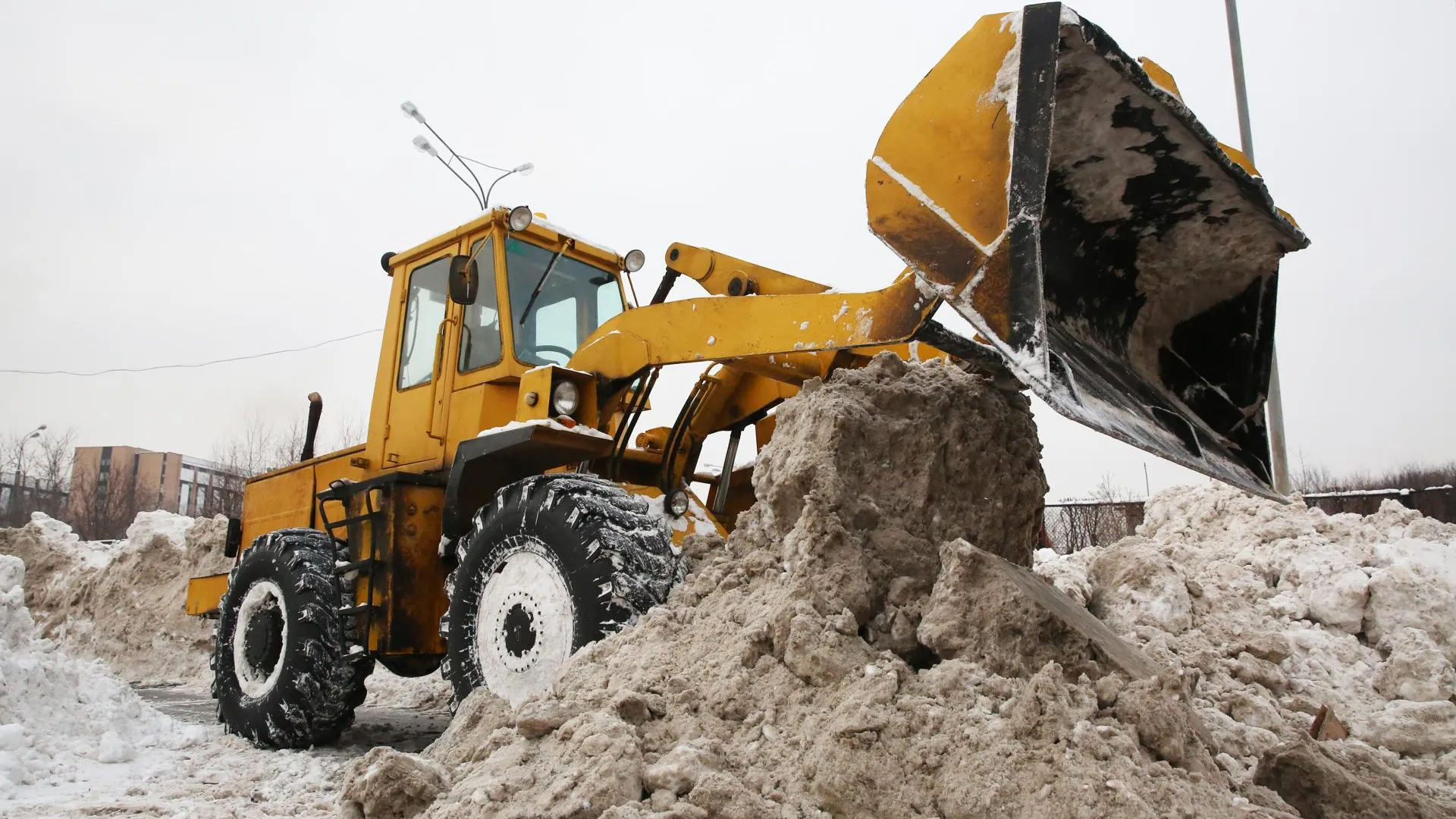 медиасток.рф