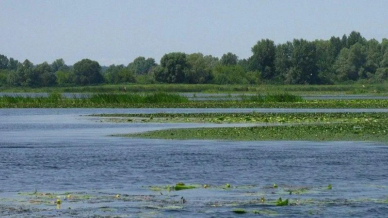 Министерство экологии и природопользования МО