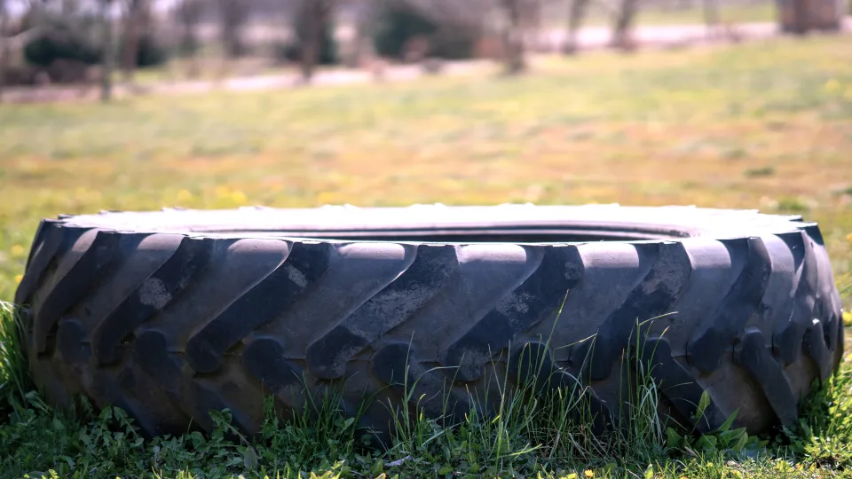 Фото: freepik.com