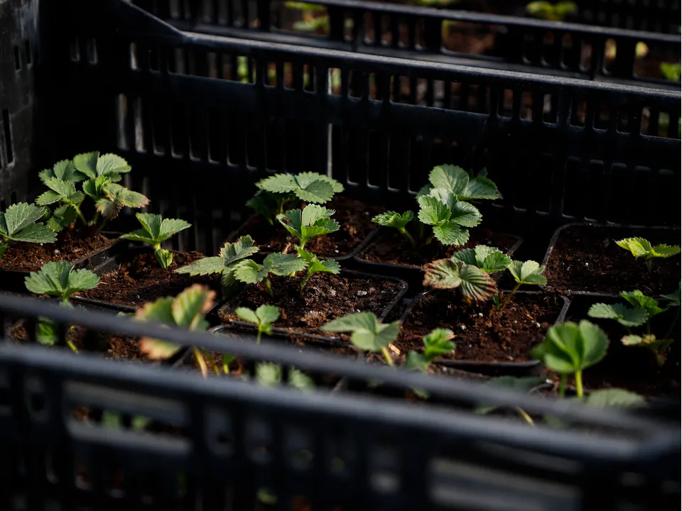 Фото: REGIONS/Наталия Надточая