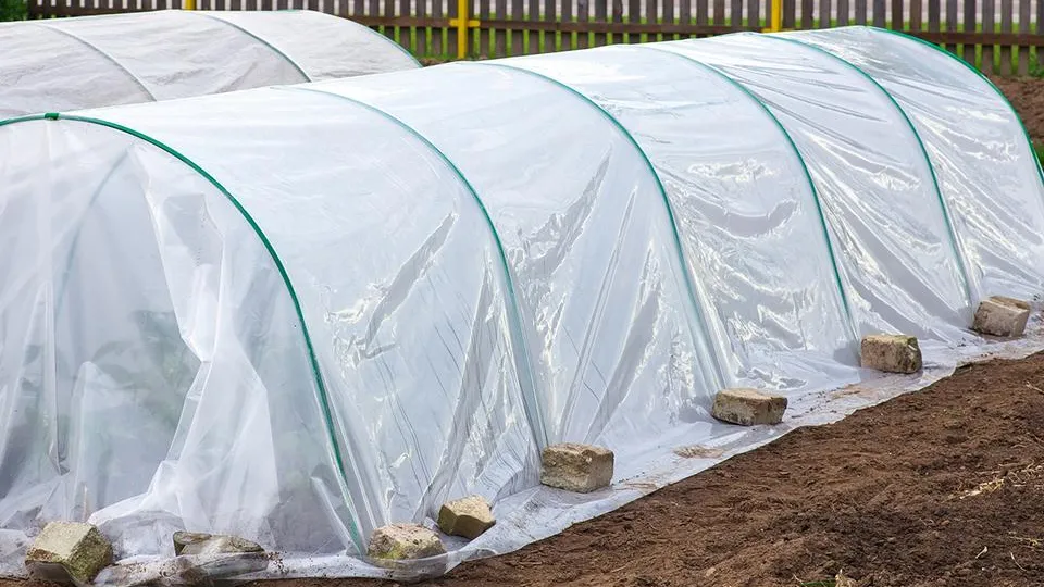 Фото: istockphoto.com