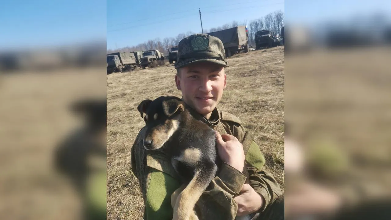 «Стая дворняг прибежала к мемориальной доске»: собаки почуяли гибель танкиста на передовой