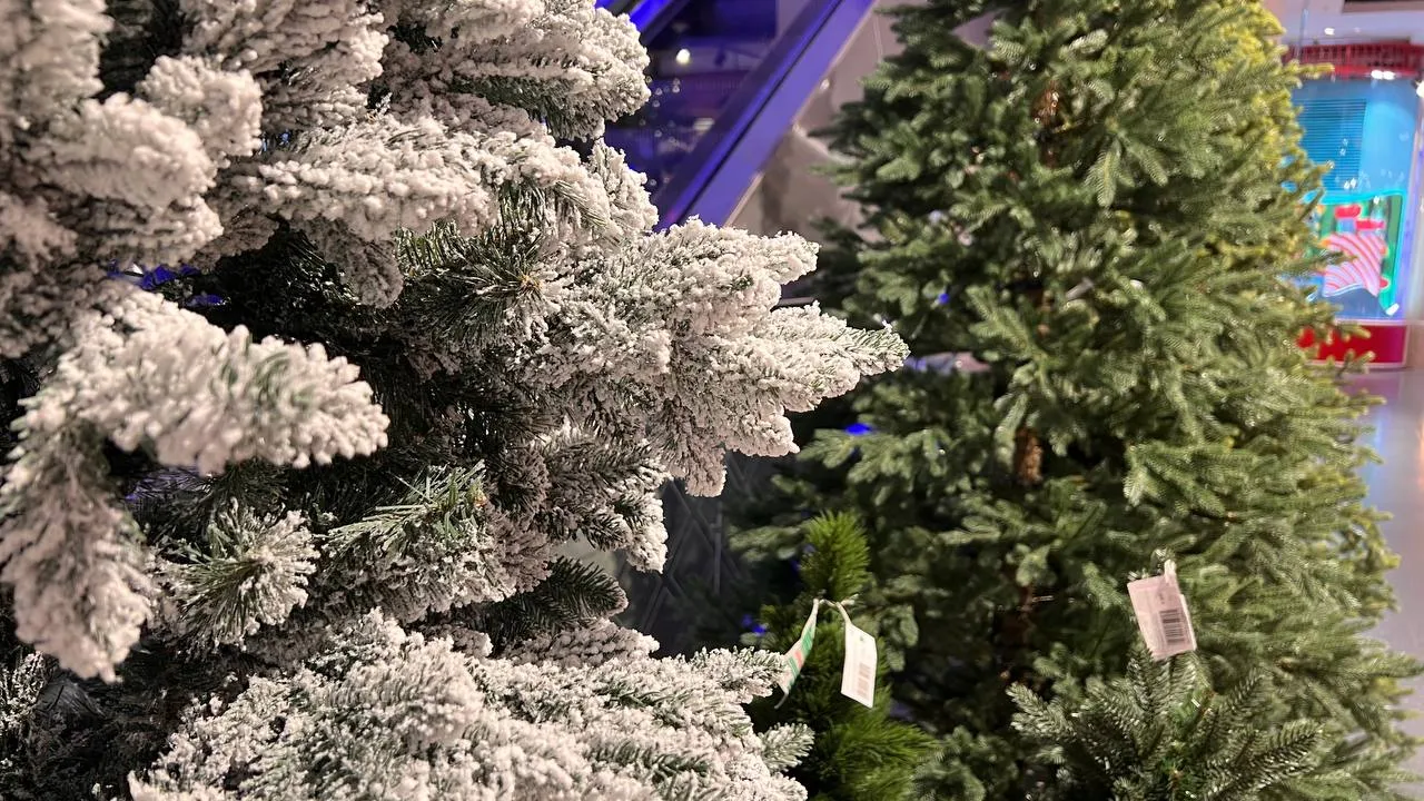 Фото: REGIONS/Елена Фурман