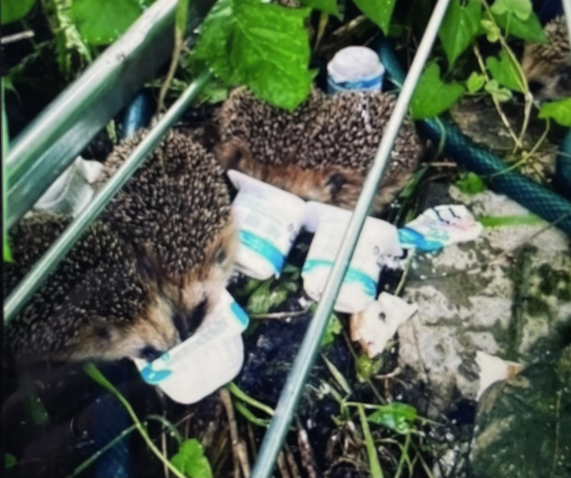 Фото: Екатерина Филиппова