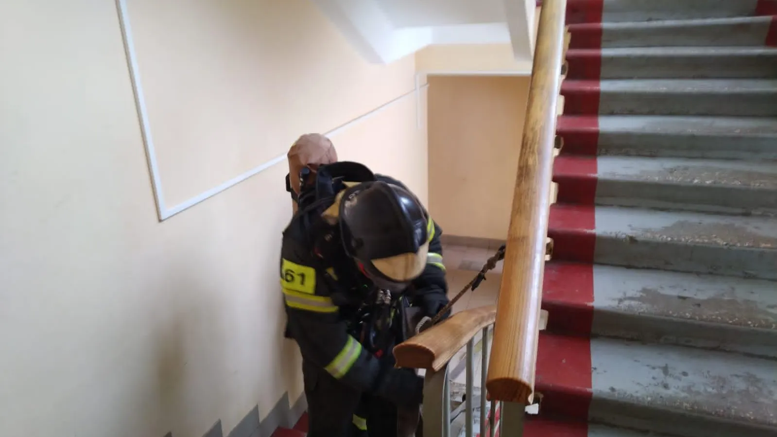 Фото: ГКУ МО «Мособлпожспас»