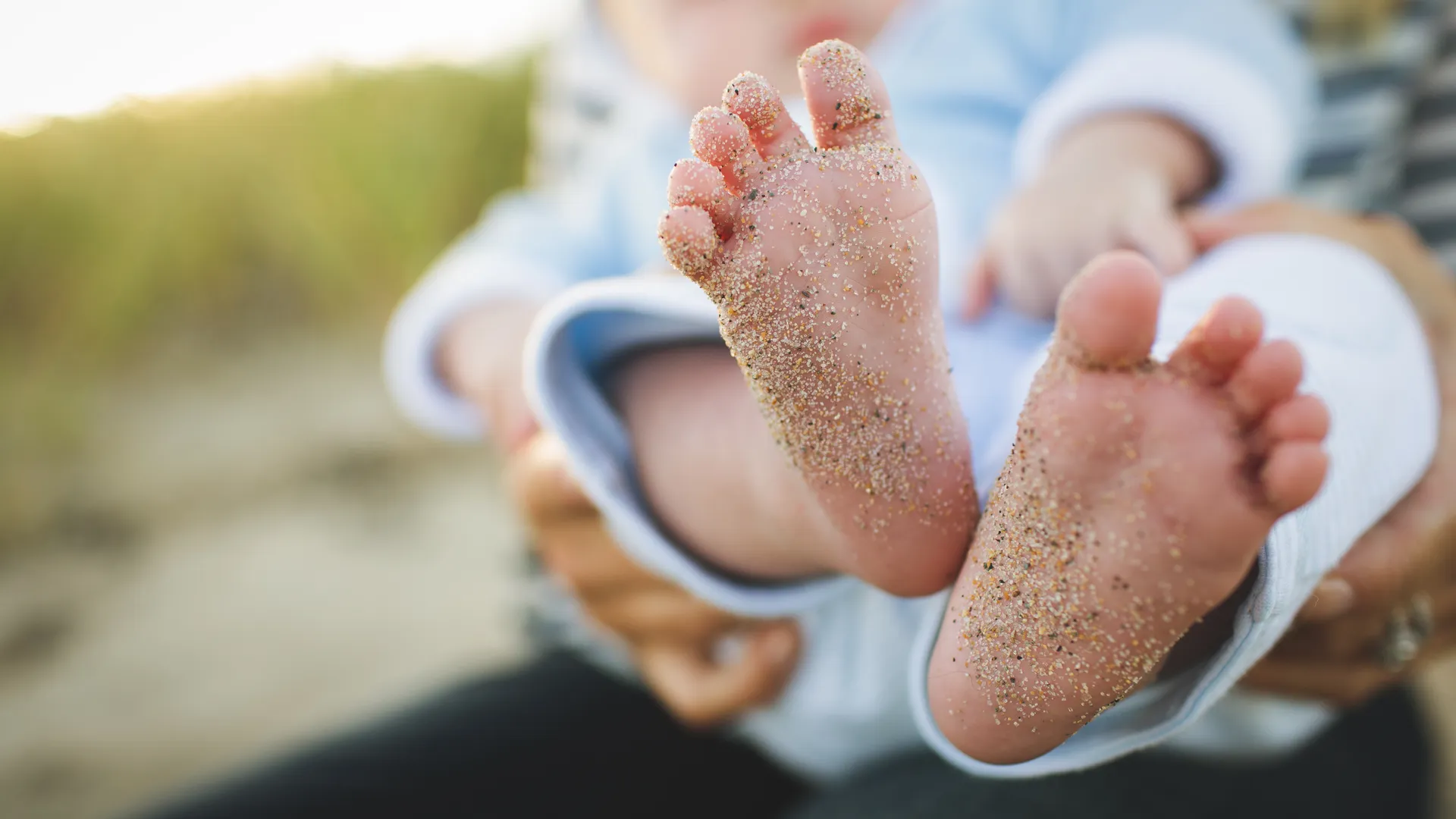 Фото: pxhere.com