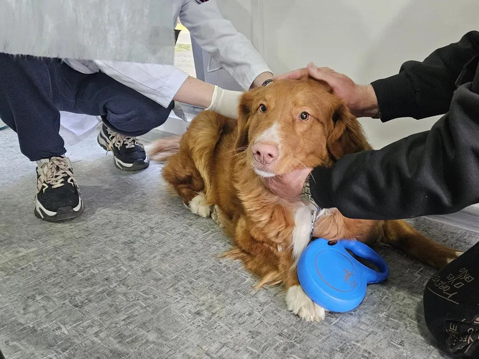 Фото: Ольга Вельшикаева