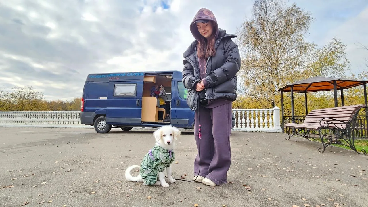МедиаБанк Подмосковья/Вероника Горбачева