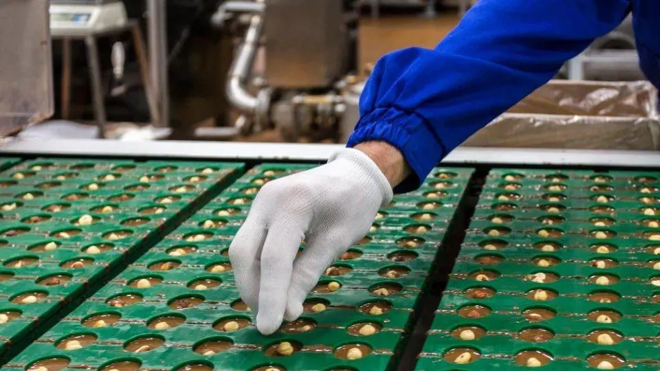 Фото: пресс-служба администрации г.о. Подольск