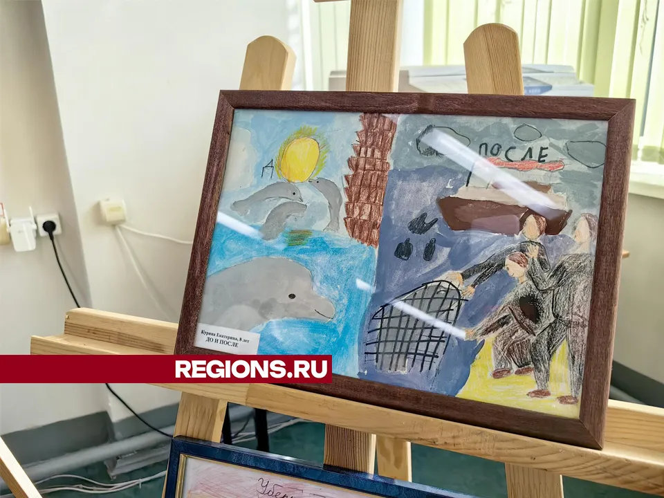 Фото: REGIONS/Елена Катасонова