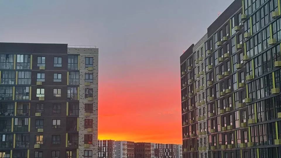 Фото предоставлено жителем ЖК «Пригород Лесное»