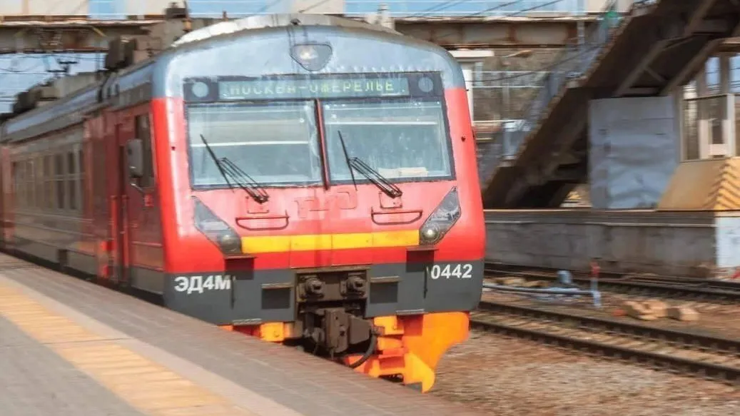 Фото: пресс-служба администрации г. о. Домодедово