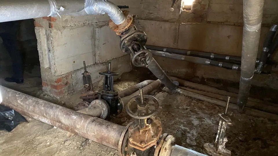 Фото: МедиаБанк Подмосковья/Елена Лабзина