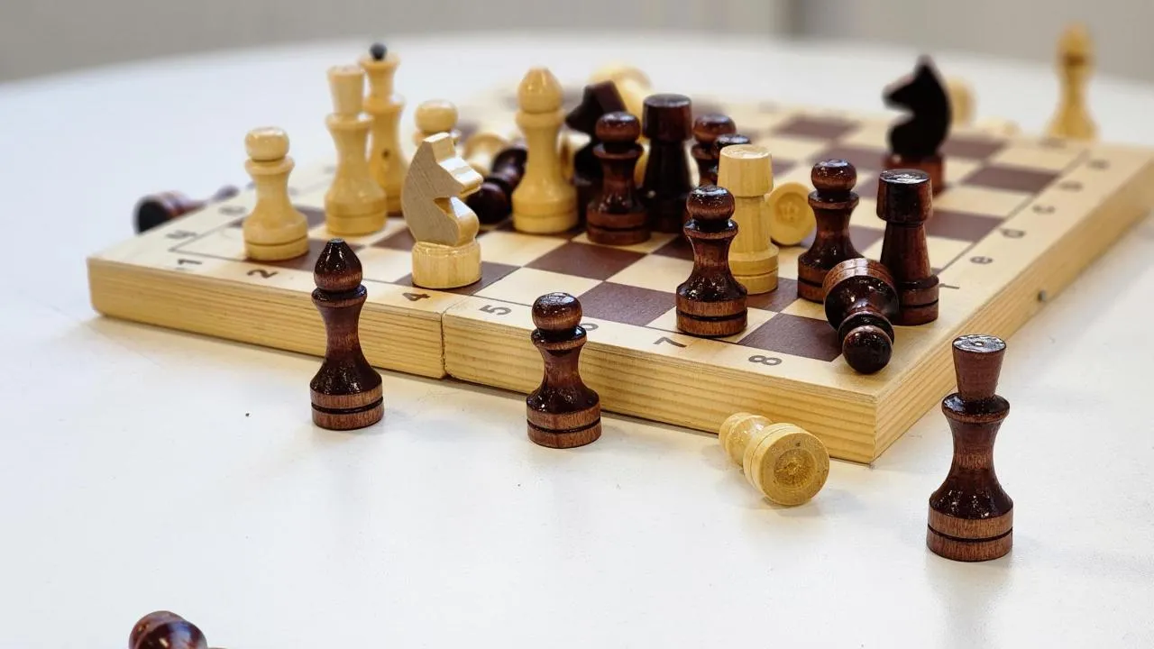 REGIONS/Полина Пахомова