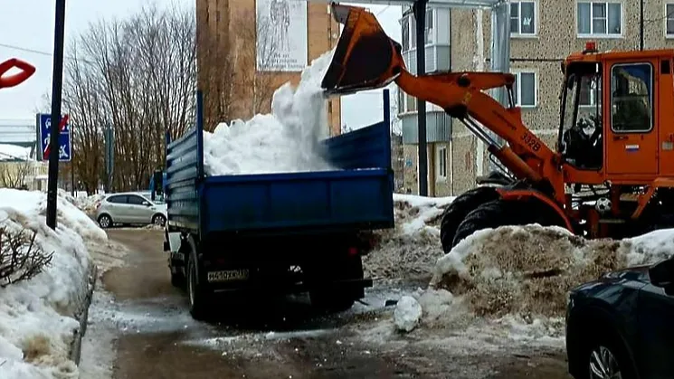 Фото: Пресс-служба администрации городского округа Истра