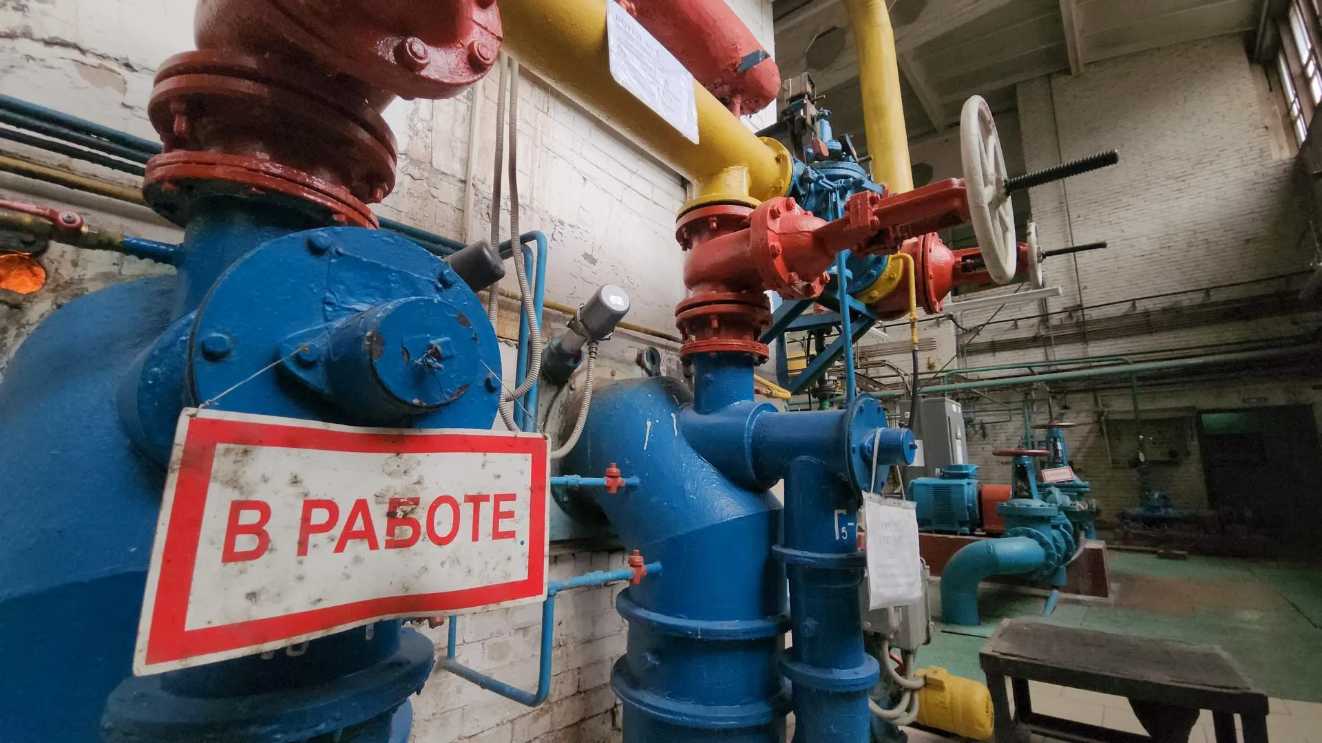 Фото: Никита Сморкалов