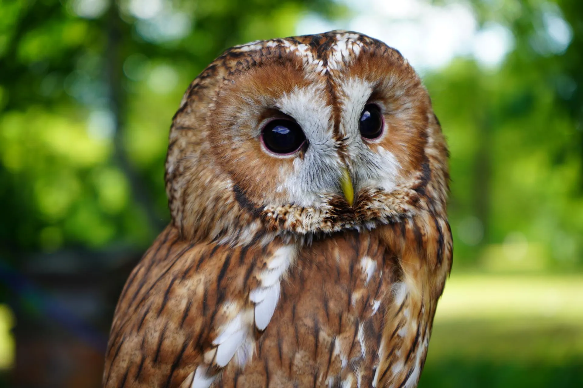 Фото: Екатерина Елисеева