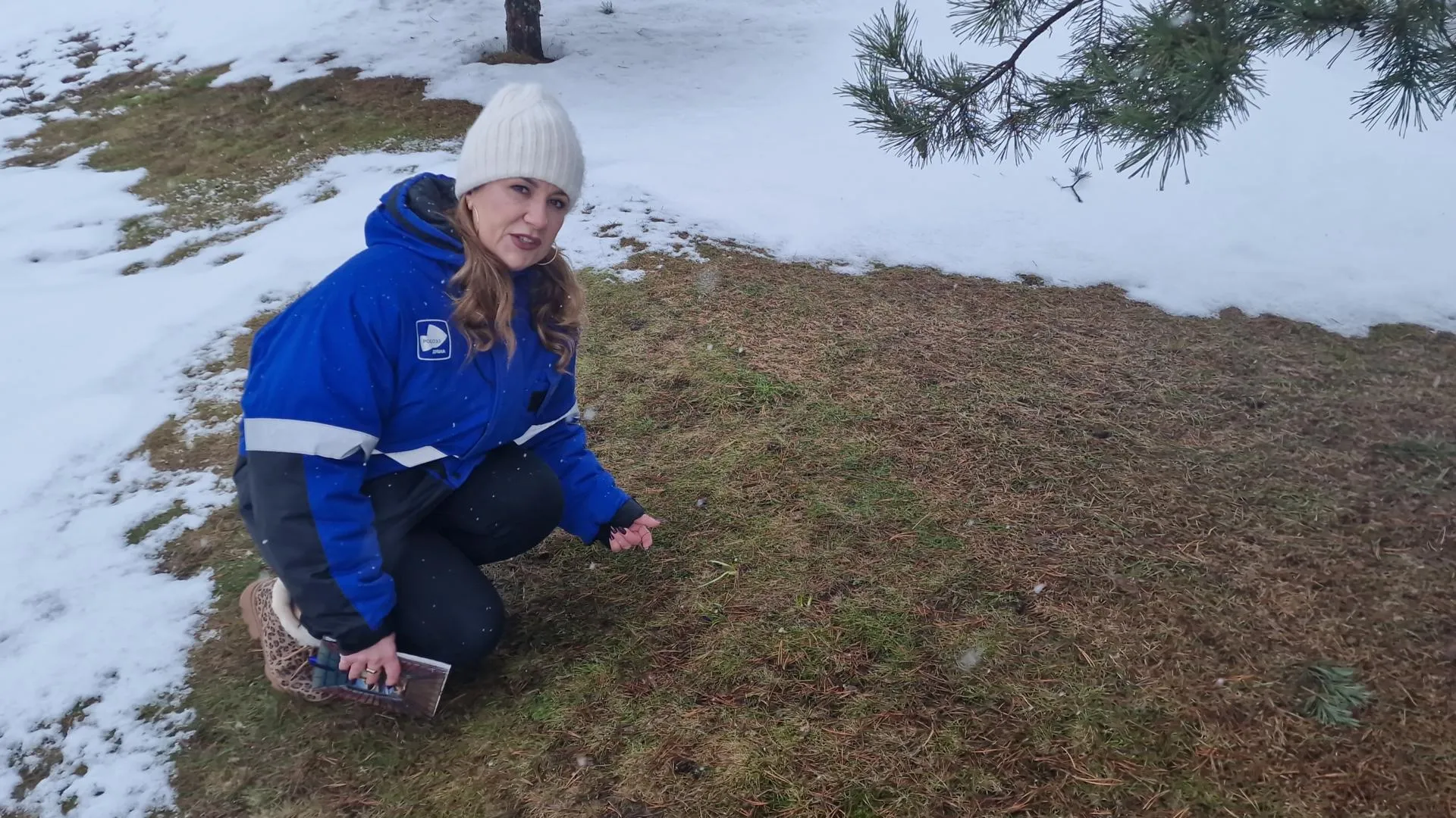 REGIONS/Анастасия Игнатова