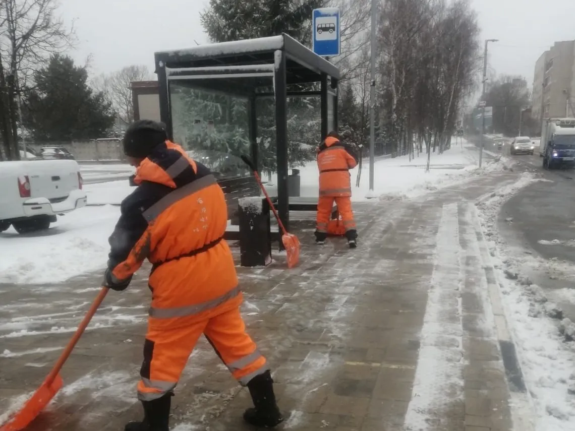 Фото: пресс-служба администрации Наро-Фоминского г.о.