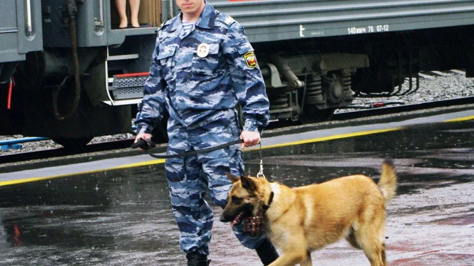 Фото: пресс-служба МВД