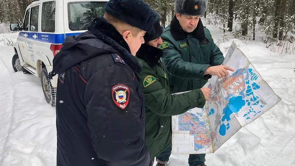 Фото: Комитет лесного хозяйства Московской области