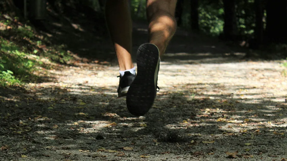 Фото: unsplash.com