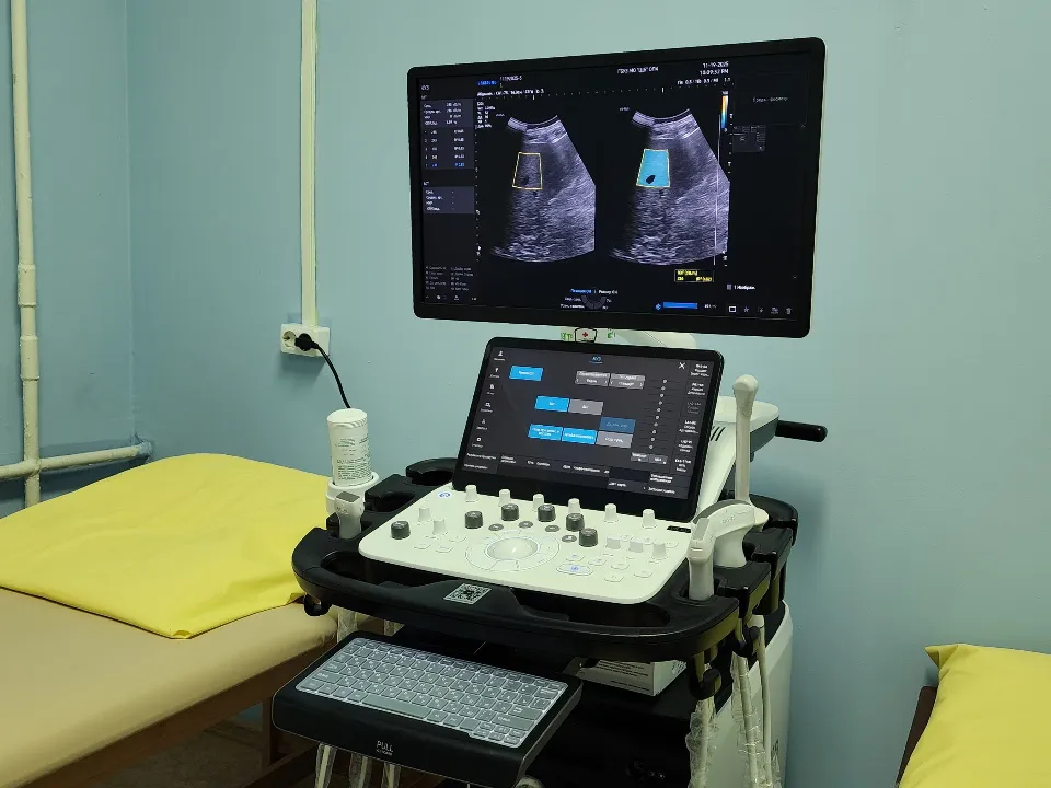 Фото: МедиаБанк Подмосковья/Валерия Тингаева