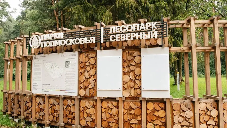 Фото: t.me/Krasnotsvetov_MV