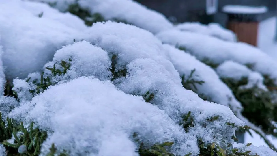 Фото: REGIONS/Роман Малышенко