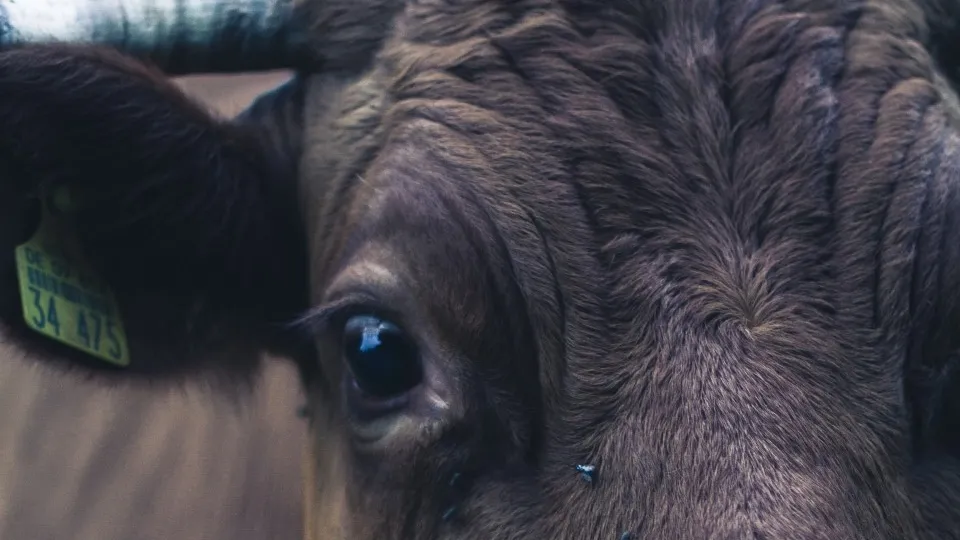 Фото: pxhere.com