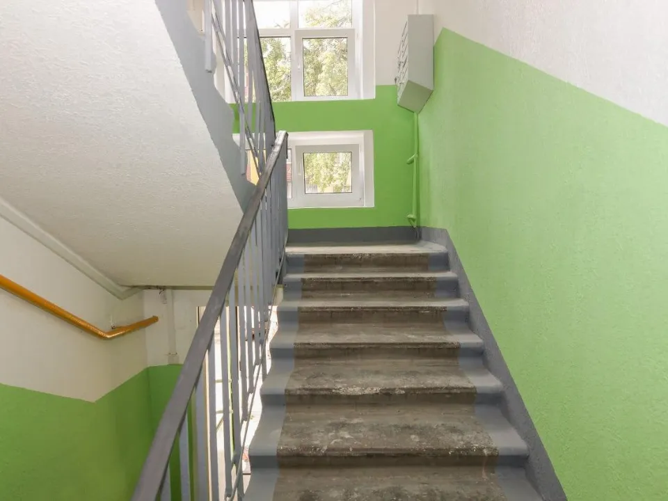 Фото: Раменский медиацентр