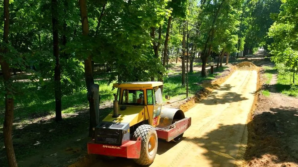 Фото: Артем Морозов