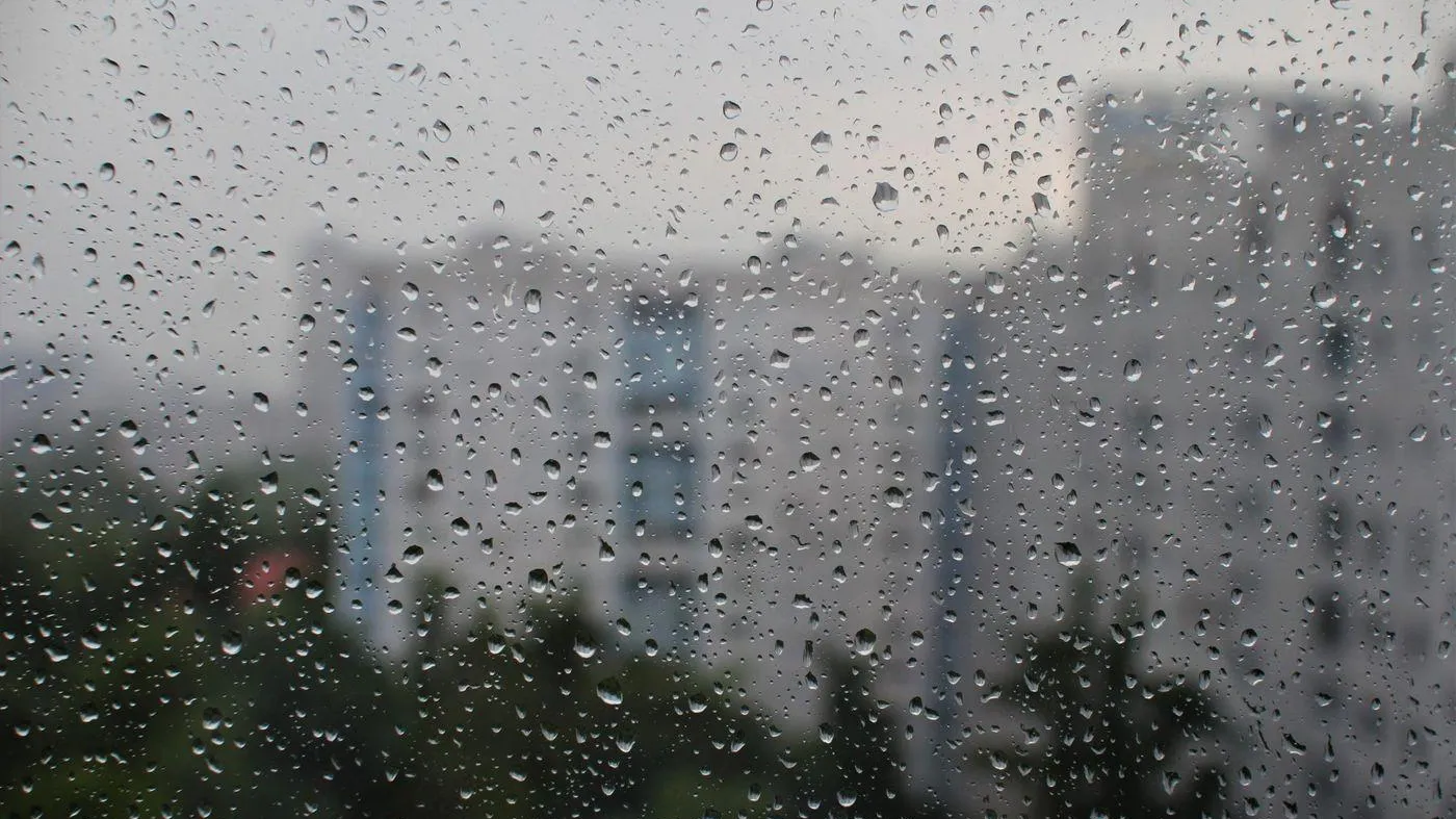 Фото: Илья Тушев / Вести Подмосковья