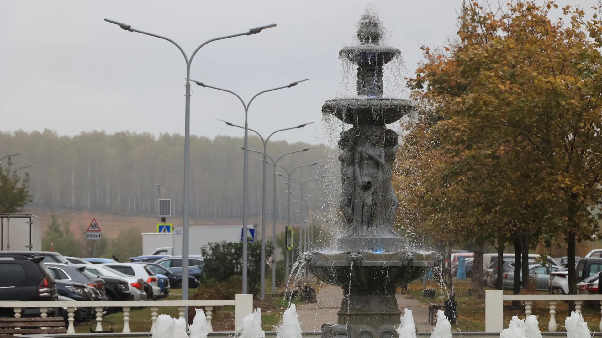 Фото: Министерство благоустройства Московской области