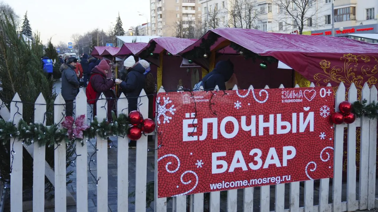 «Может простоять до весны»: стало известно, какие новогодние елки лучше покупать