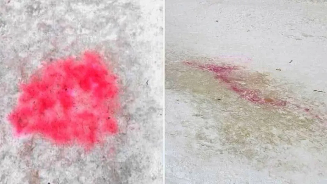 телеграм-канал «Мытищи — Вселенная»