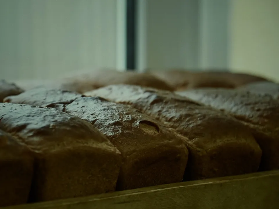 REGIONS/Марина Харченко